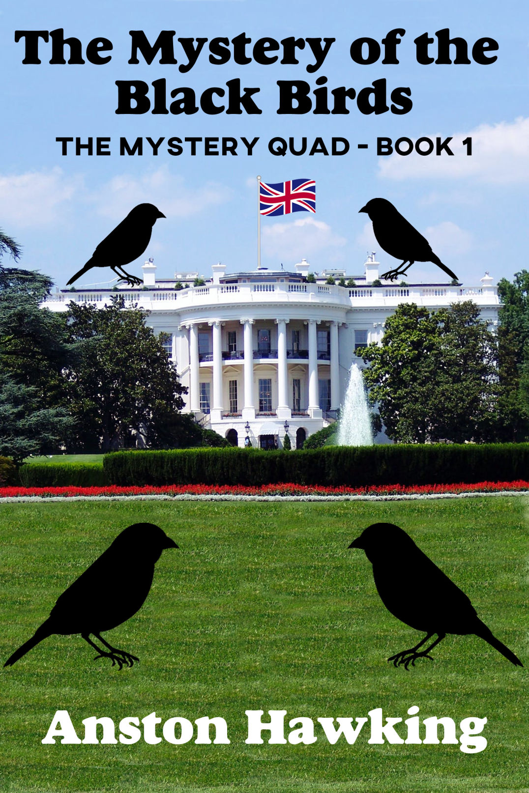 Mystery of the Black Birds Cover